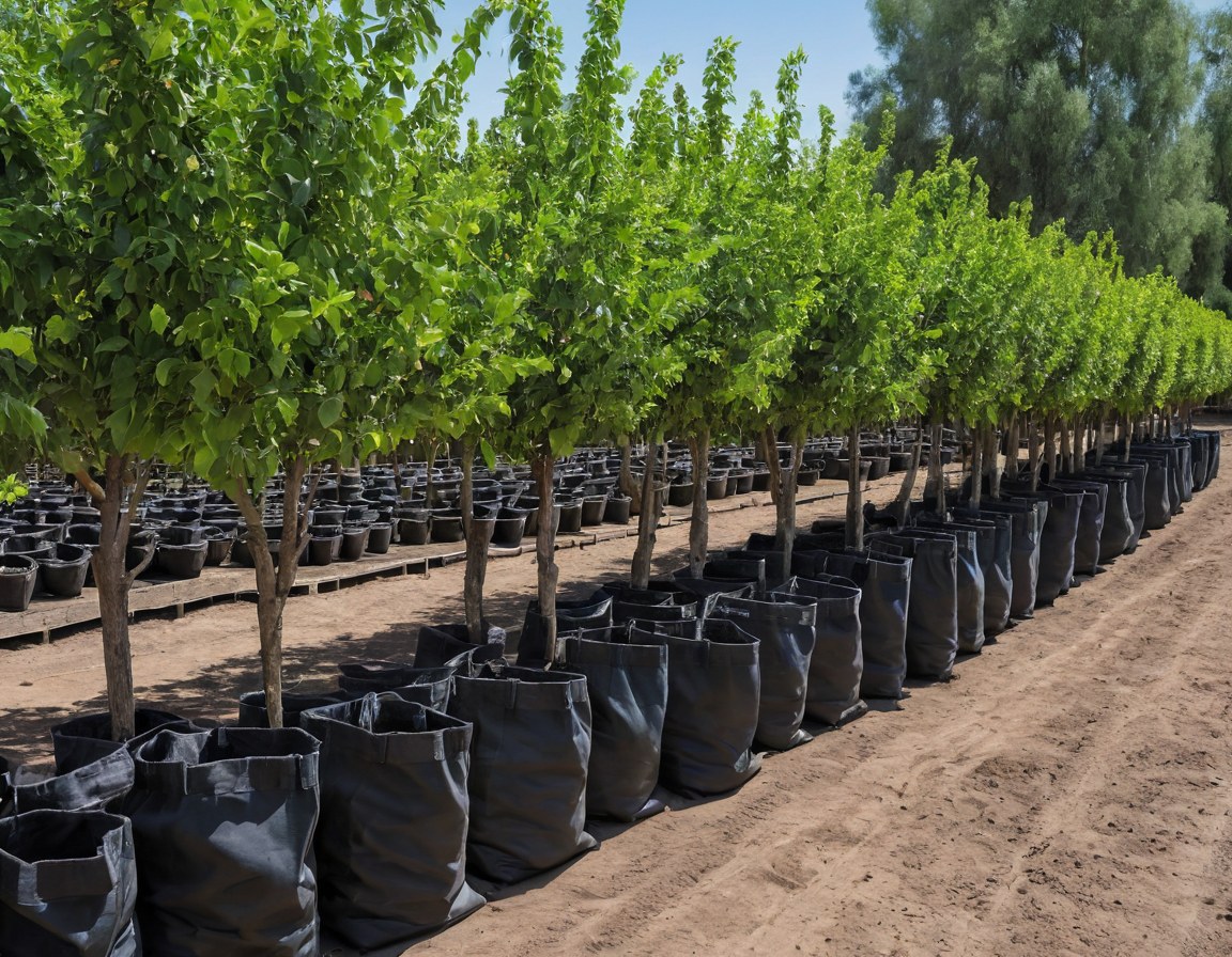 Árboles frutales y de sombra